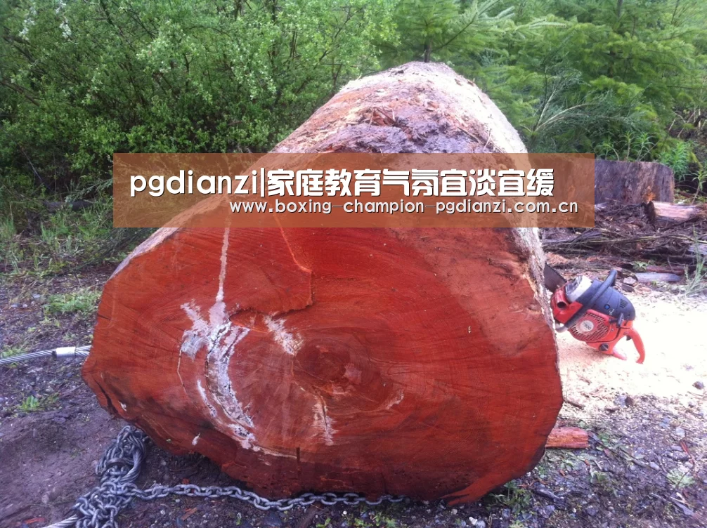 pgdianzi|家庭教育气氛宜淡宜缓(图1) pg电子平台入口