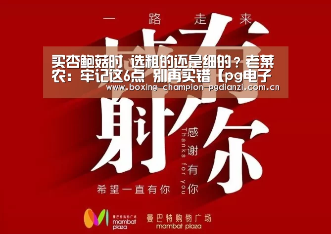 pg电子平台