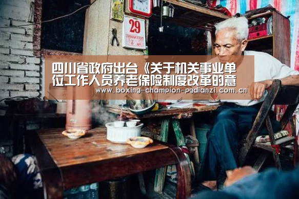 四川省政府出台《关于机关事业单位工作人员养老保险制度改革的意见》“pg电子平台入口”(图2)