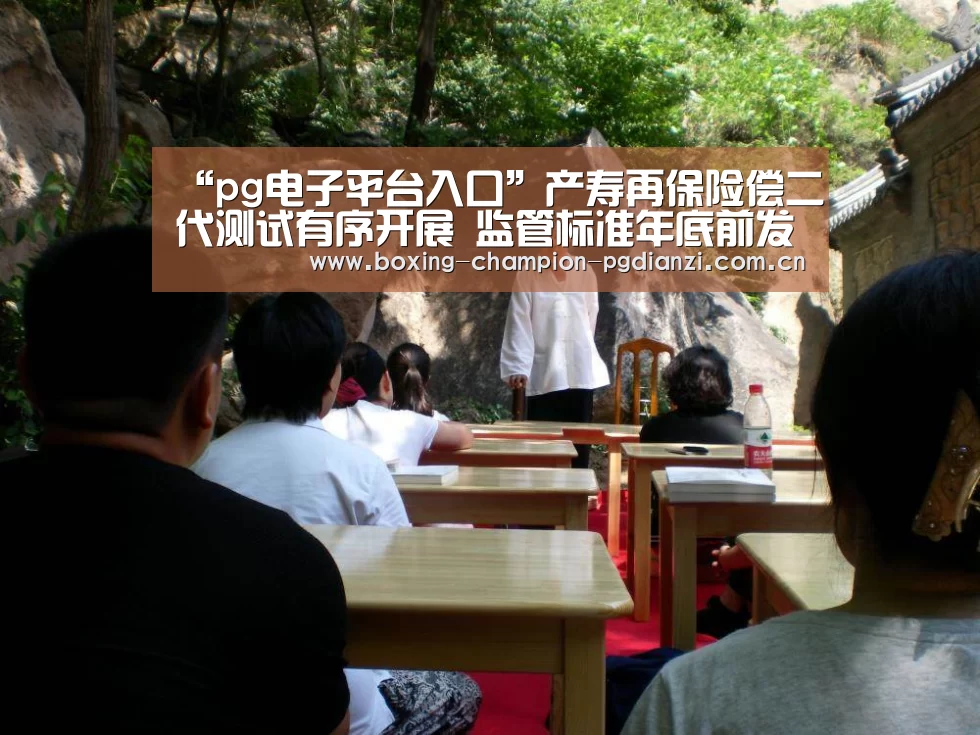 pg电子平台入口