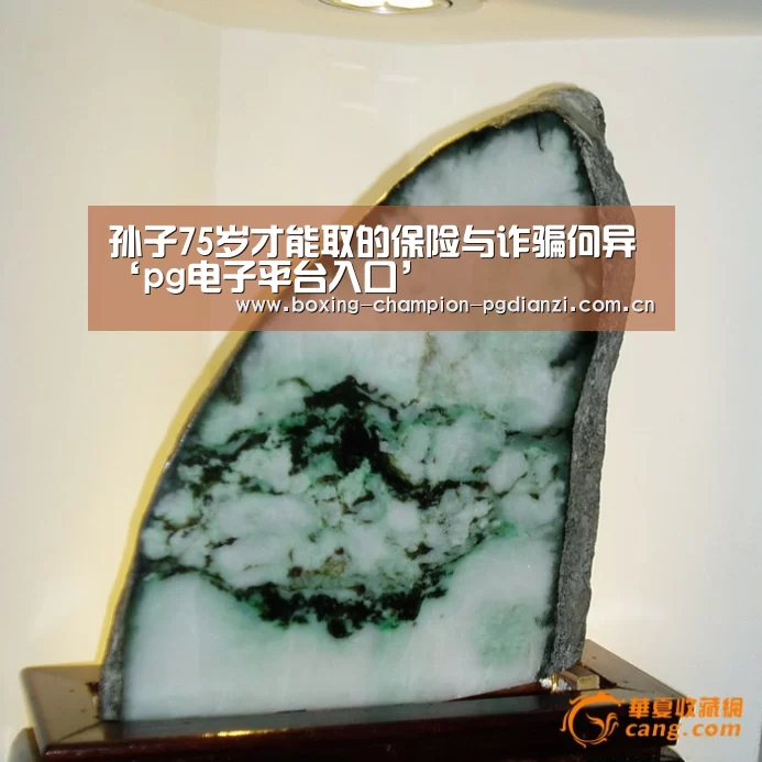孙子75岁才能取的保险与诈骗何异‘pg电子平台入口’(图2) pg电子平台